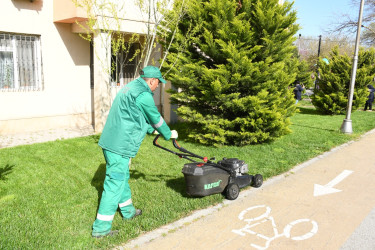 Nizami rayonunda növbəti iməcilik keçirilib - 18.04.2026