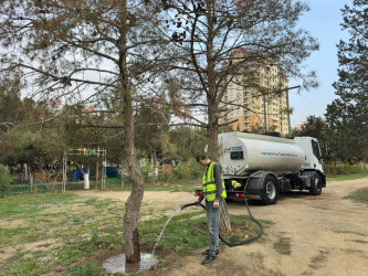 Nizami rayonunda yaşıllıqlara qulluq davam etdirilir - 01.12.2025