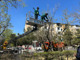 Nizami rayonunda abadlıq və sanitar-təmizlik işləri davam edir