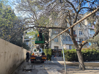 Nizami rayonunda abadlıq və sanitar-təmizlik işləri davam edir