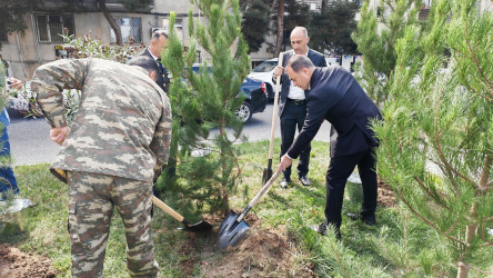 27 Sentyabr – Anım Günü ilə əlaqədar Nizami rayonunda ağacəkmə aksiyası keçirilib