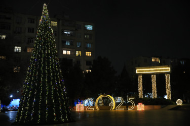 Nizami rayonunda Yeni ilə hazırlıq tədbirləri görülüb - 30.12.2024