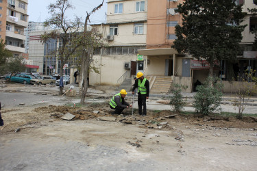 Rayon İcra Hakimiyyətinin başçısı Coşqun Cəbrayılov abadlıq işləri gedən ünvanlara baxış keçirib - 14.11.2025