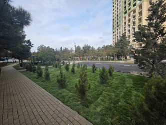 R.Rüstəmov küçəsi 72a ünvanında yeni park sakinlərin istifadəsinə verilib  - 23.12.2025