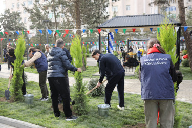 R.Rüstəmov küçəsi 72a ünvanında yeni park sakinlərin istifadəsinə verilib  - 23.12.2025