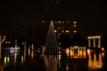 Nizami rayonunda Yeni ilə hazırlıq tədbirləri görülüb - 25.12.2025