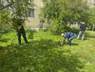 Nizami rayonunda təmir-bərpa və abadlıq işləri davam etdirilir - 15.05.2025