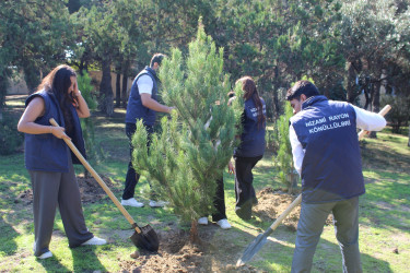 27 Sentyabr – Anım Günü ilə əlaqədar Nizami rayonunda ağacəkmə aksiyası keçirilib - 26.09.2025