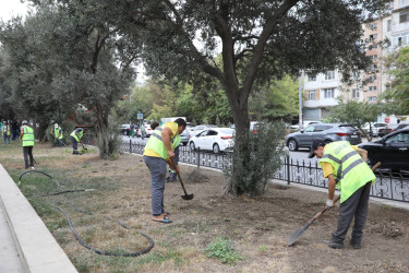 Nizami rayonunda ətraf mühitin yaxşılaşdırılması xüsusi diqqət mərkəzindədir -* 14.09.2024