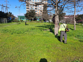 Nizami rayonunda abadlıq və sanitar-təmizlik işləri davam edir