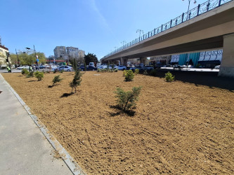 Nizami rayonunda abadlıq və sanitar-təmizlik işləri davam edir