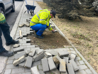 Nizami rayonunda Novruz bayramı ərəfəsində geniş təmizlik işləri aparılıb - 14.03.2026