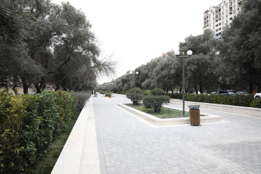 Rüstəmov küçəsindəki park təmir olunur - 10.02.2025