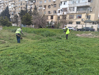 Nizami rayonunda abadlıq və sanitar-təmizlik işləri davam edir