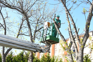 Nizami rayonunda növbəti iməcilik keçirilib - 18.04.2026