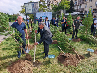 27 Sentyabr – Anım Günü ilə əlaqədar Nizami rayonunda ağacəkmə aksiyası keçirilib