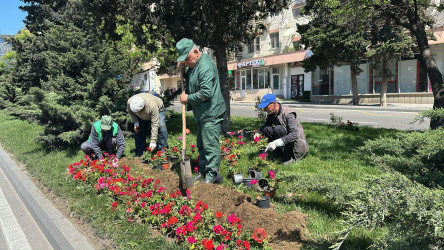 Nizami rayonunda təmir-bərpa və abadlıq işləri davam etdirilir - 15.05.2025