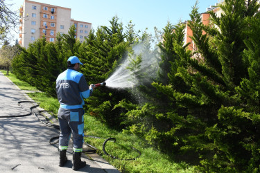 Nizami rayonunda növbəti iməcilik keçirilib - 18.04.2026