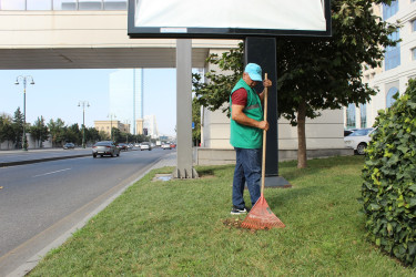 Ümumrayon iməciliyi - 09.08.2025