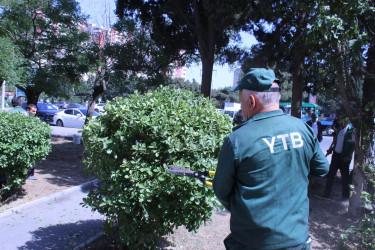 Nizami rayonunda küçə və prospektlər yuyulub, təmizlik işləri aparılıb - 12.07.2025