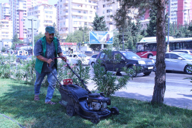 Nizami rayonunda küçə və prospektlər yuyulub, təmizlik işləri aparılıb - 12.07.2025