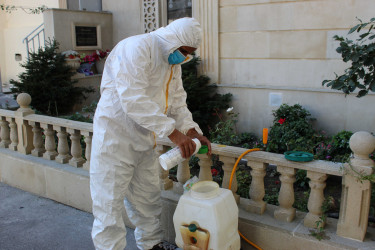 Nizami rayonunda zərərvericiklərə qarşı ağacların dərmanlanması işləri aparılır  - 01-09-2025