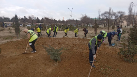 Nizami rayonunda Novruz bayramı ərəfəsində geniş təmizlik işləri aparılıb - 14.03.2026