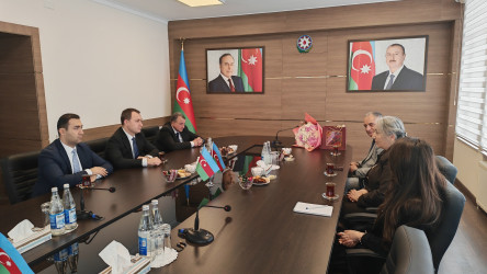 Rayon İcra Hakimiyyətinin başçısı Vətən müharibəsi şəhidi Elçin Həsənlinin anası ilə görüş keçirib  - 22.05.2026