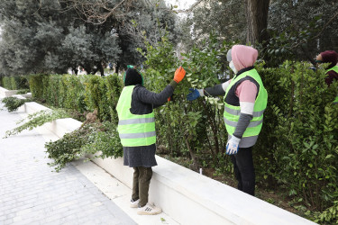 Rüstəmov küçəsindəki park təmir olunur - 10.02.2025