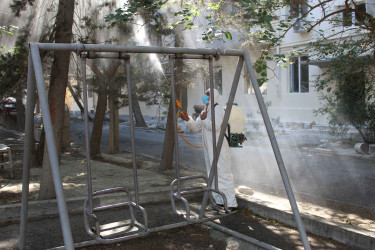 Nizami rayonunda zərərvericiklərə qarşı ağacların dərmanlanması işləri aparılır  - 01-09-2025