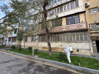 Nizami rayonunda zərərvericiklərə qarşı ağacların dərmanlanması işləri davam etdirilir - 23.10.2025