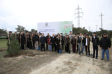 Nizami rayonunda “Şəhərsalma və Memarlıq İli” çərçivəsində ağacəkmə aksiyası keçirilib - 07.03.2026