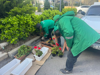 Nizami rayonunda abadlıq və sanitar-təmizlik işləri davam edir