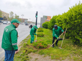 Nizami rayonunda abadlıq və sanitar-təmizlik işləri davam edir