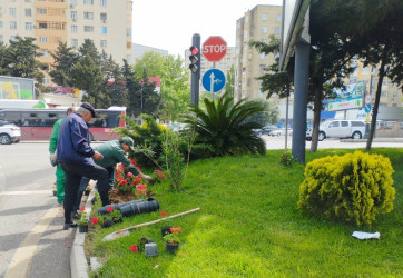 Nizami rayonunda təmir-bərpa və abadlıq işləri davam etdirilir - 15.05.2025