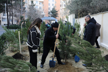 Abad məhəllə - Naxçıvanski küçəsi 38, 48