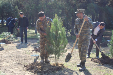 27 Sentyabr – Anım Günü ilə əlaqədar Nizami rayonunda ağacəkmə aksiyası keçirilib - 26.09.2025